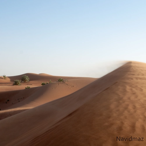 NavidMaz-Nature (10)